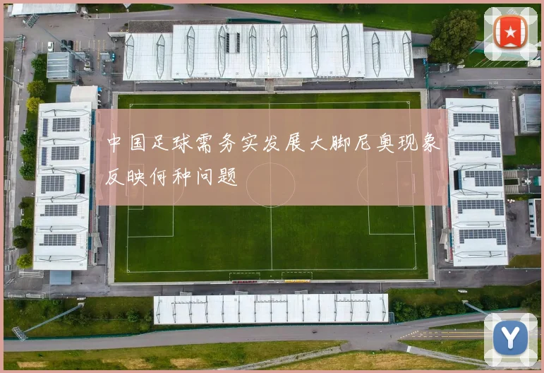 中国足球需务实发展大脚尼奥现象反映何种问题